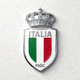 意大利国家足球队队徽