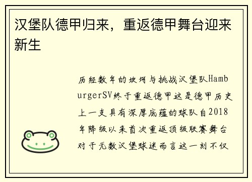 汉堡队德甲归来，重返德甲舞台迎来新生